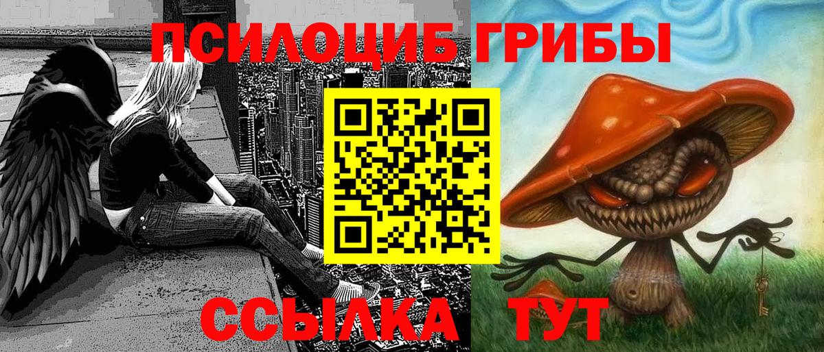 Псилоцибиновые грибы GOLDEN TEACHER  цены   Электрогорск  Вход с VPN 