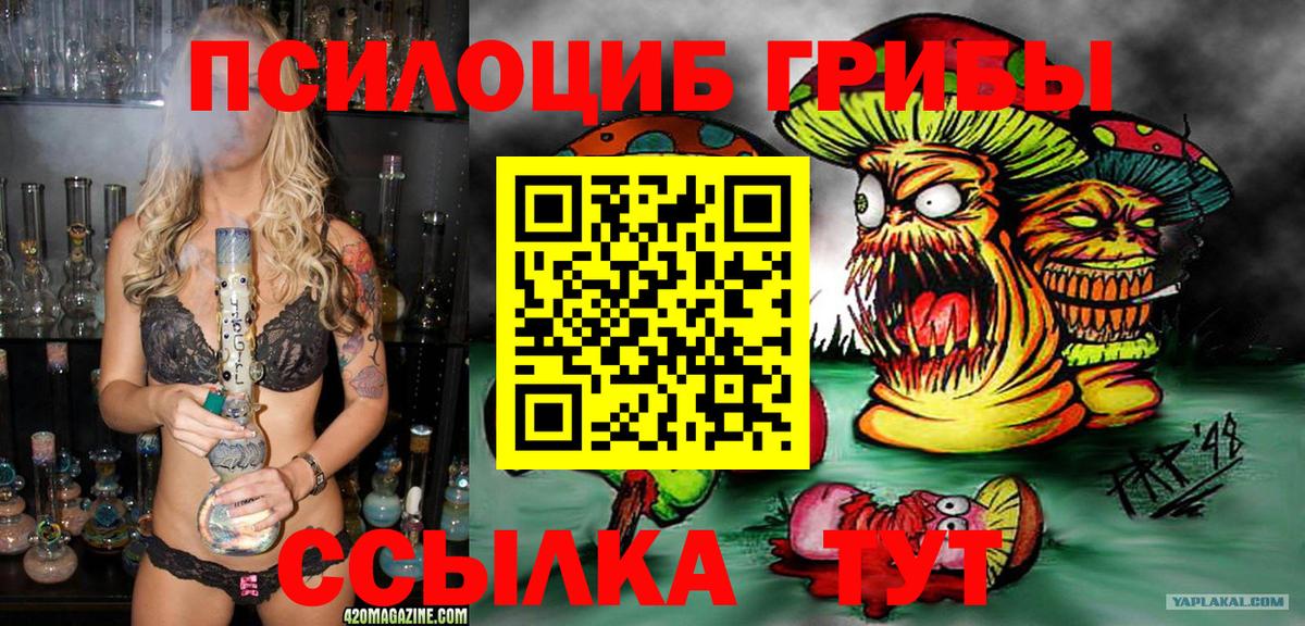 Псилоцибиновые грибы GOLDEN TEACHER Электрогорск